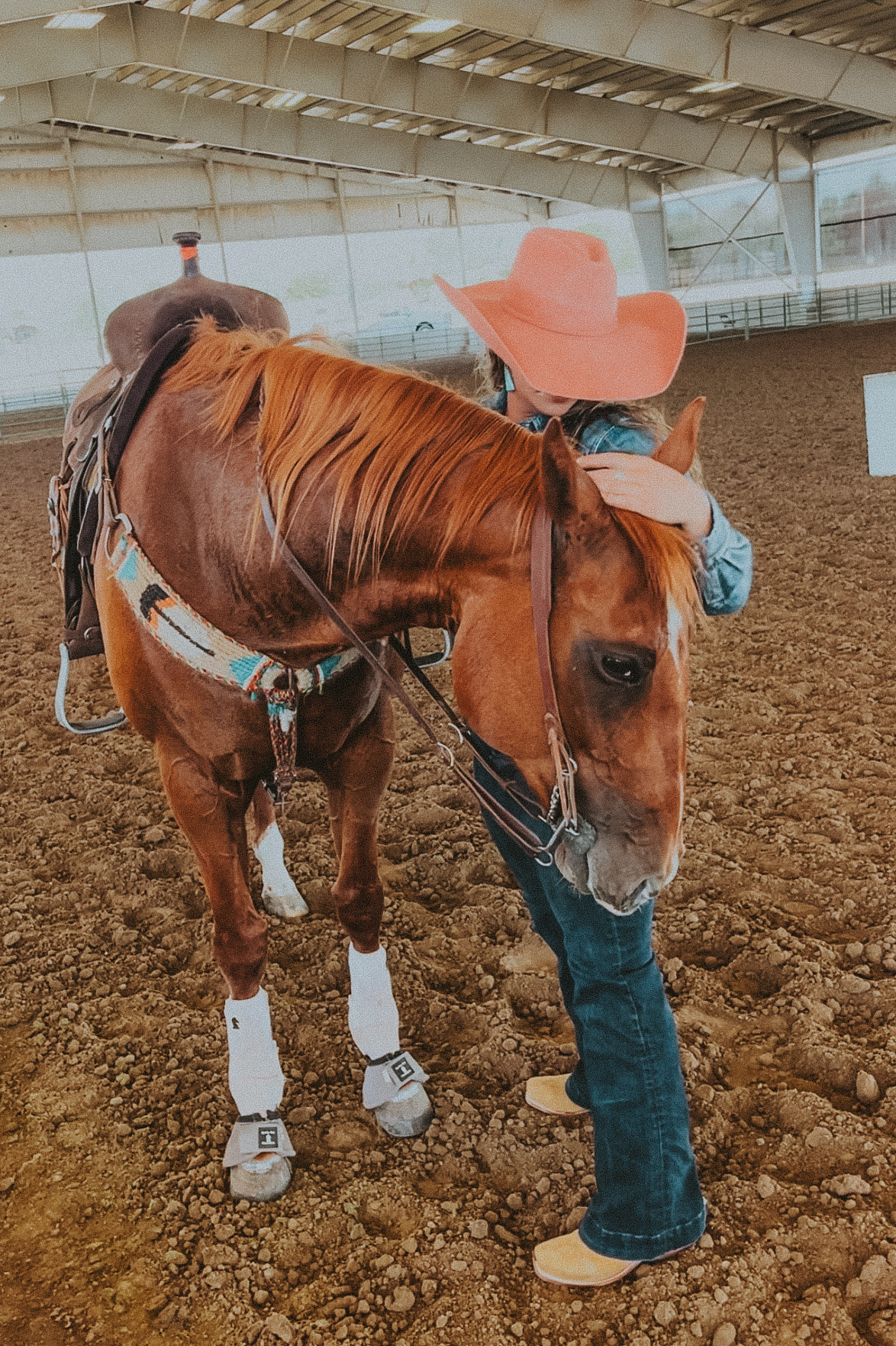 A quiet moment between a rider and her horse in the arena.