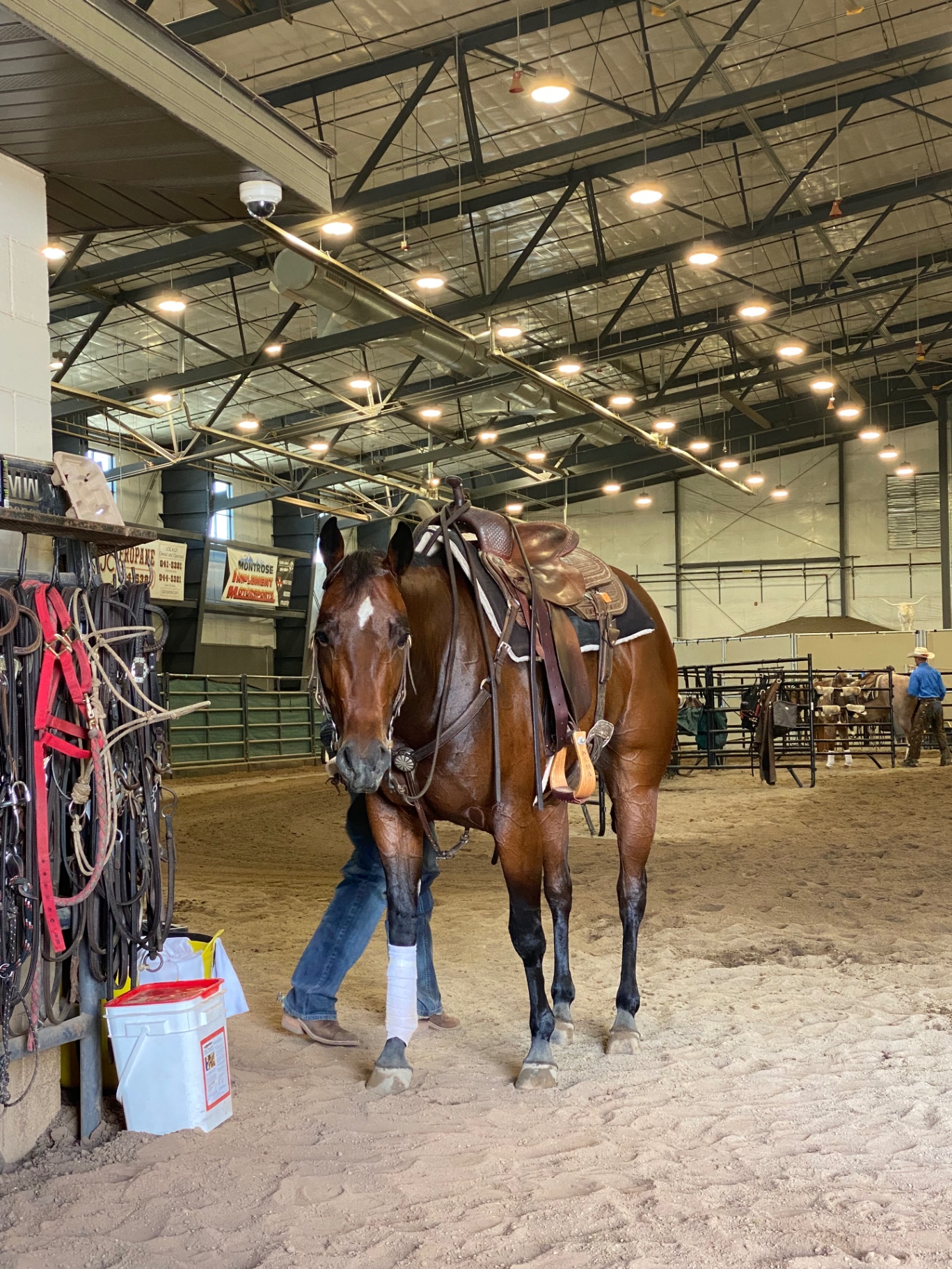 Arena Horse Prep, western lifestyle event marketing and brand activation by Branded Arrow Marketing