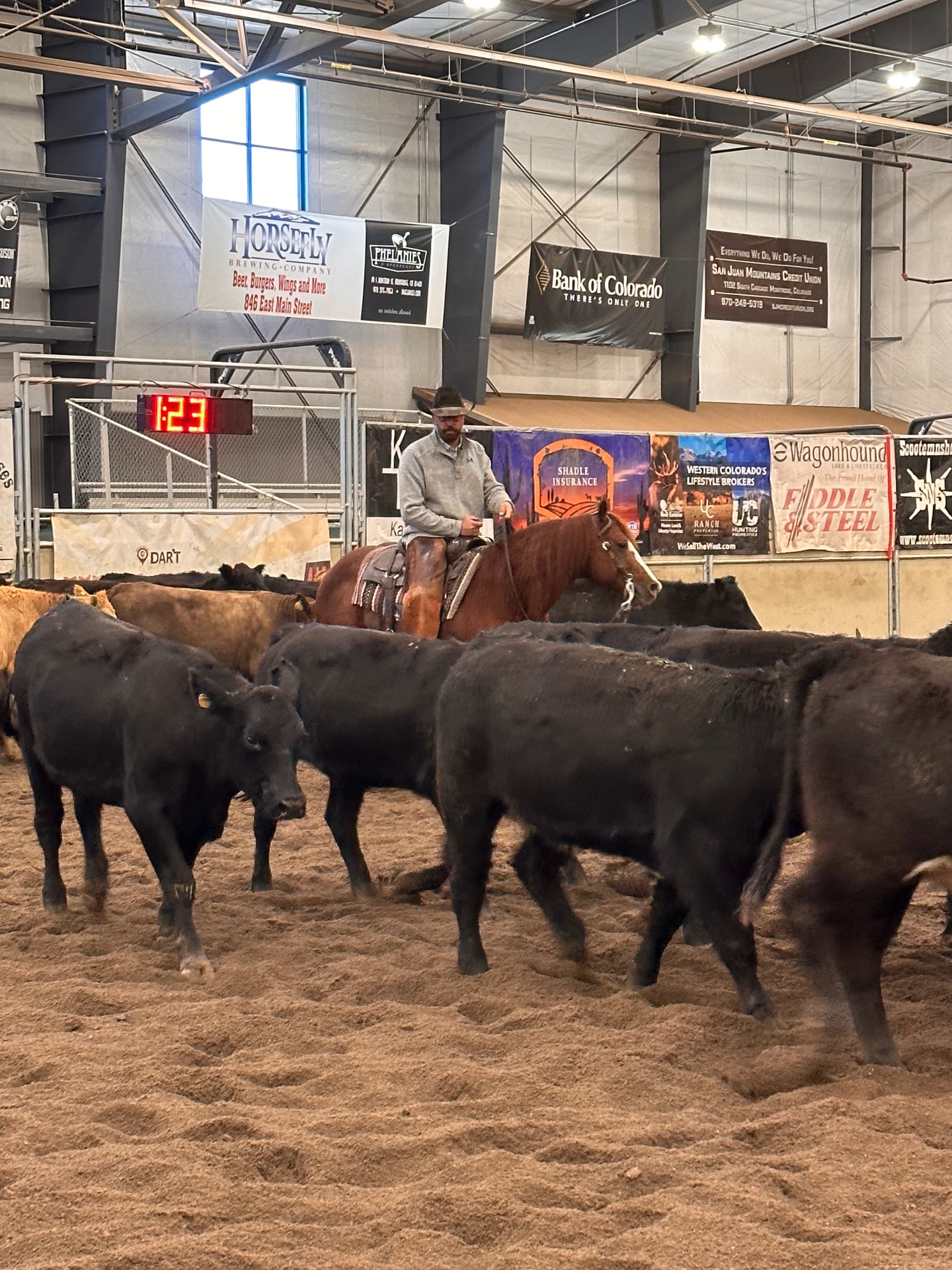 Cattle Cutting Action, western lifestyle event marketing and brand activation by Branded Arrow Marketing