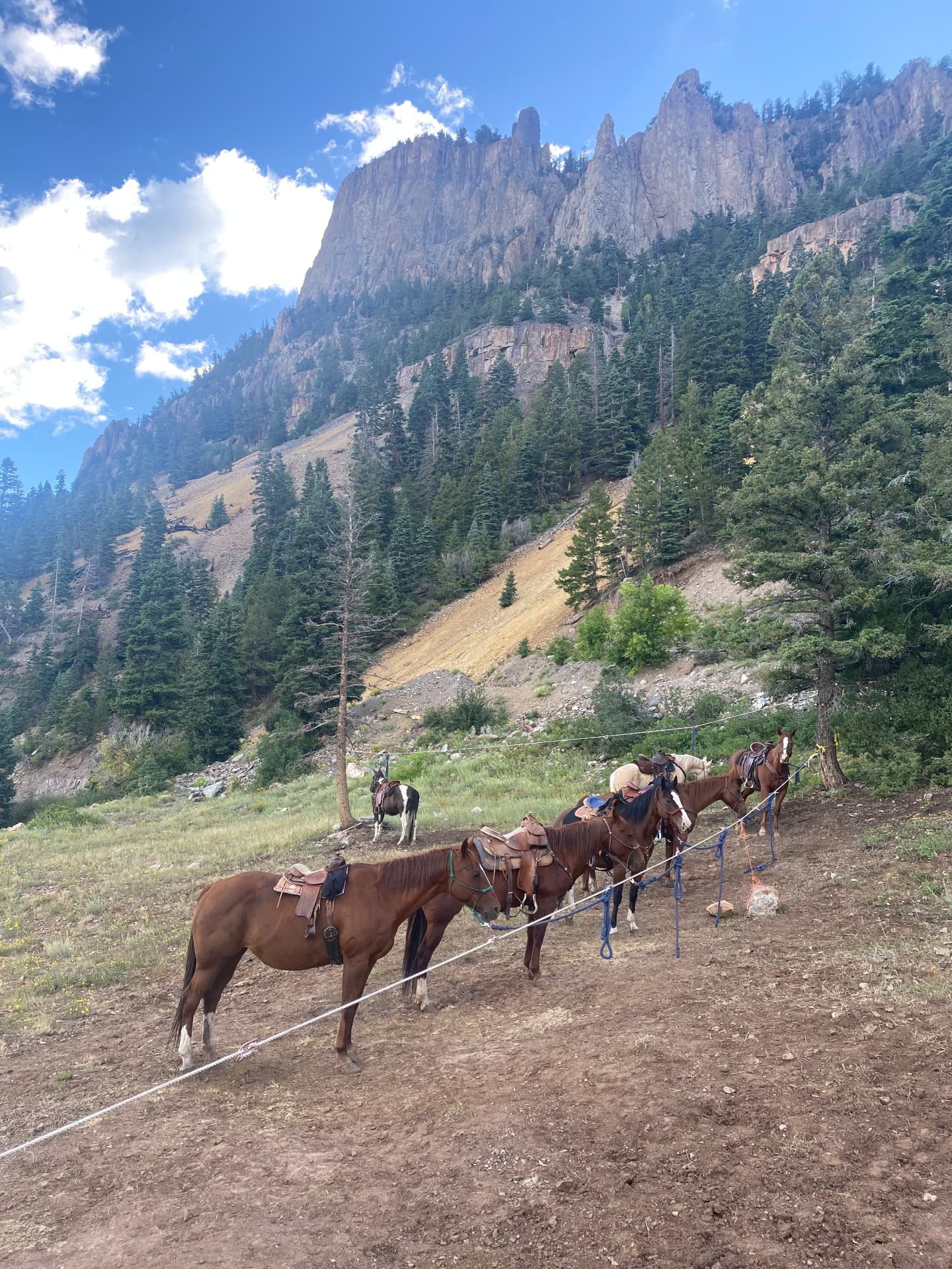 Gold Mountain Ranch Trail Horses, western lifestyle event marketing and brand activation by Branded Arrow Marketing
