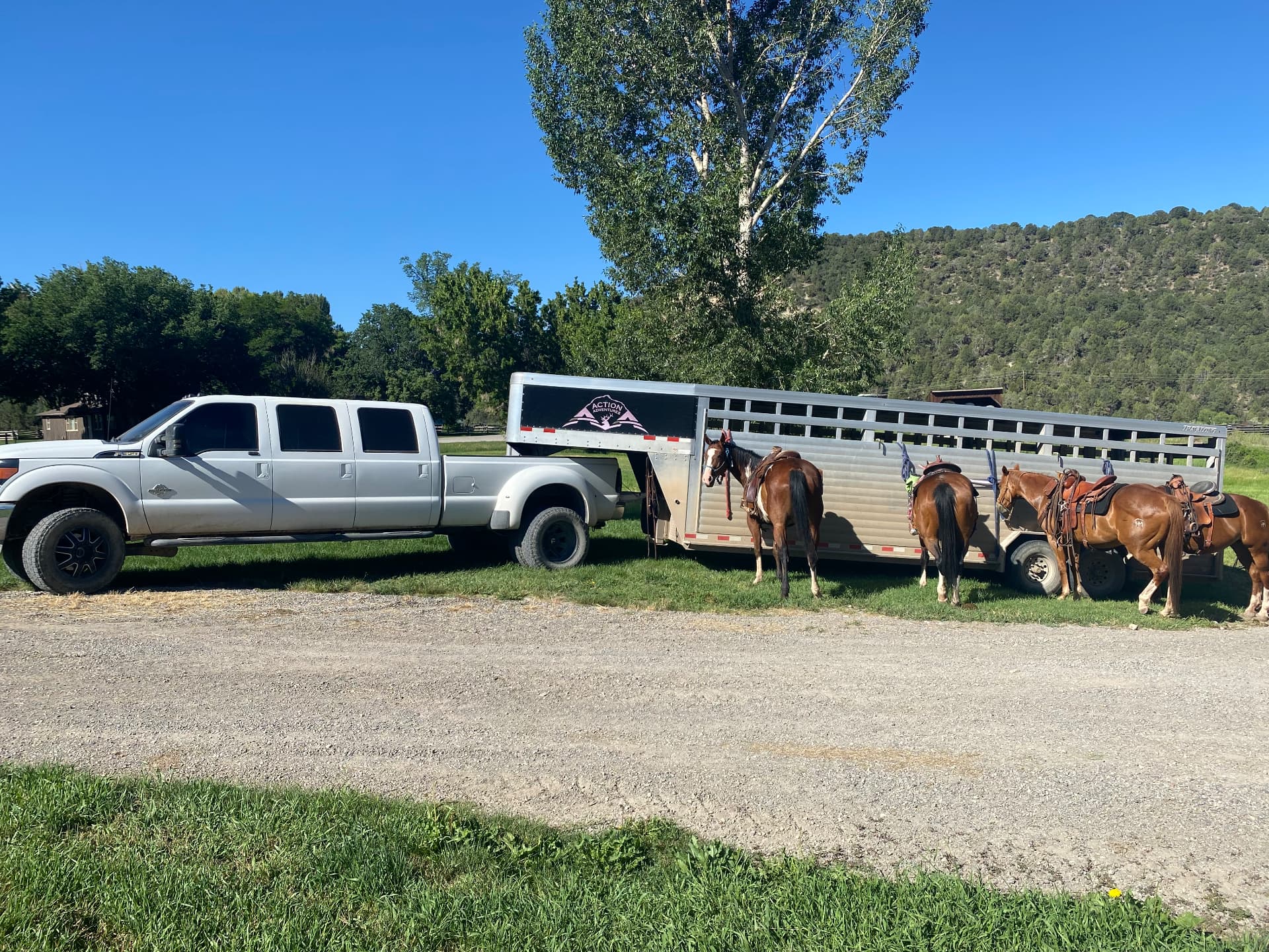Trail Horses Ready to Load, western lifestyle event marketing and brand activation by Branded Arrow Marketing